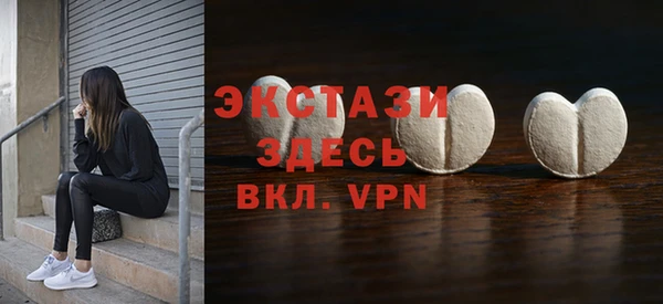 мдпв Богородицк
