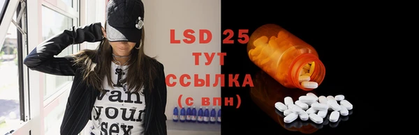 твердый Богданович