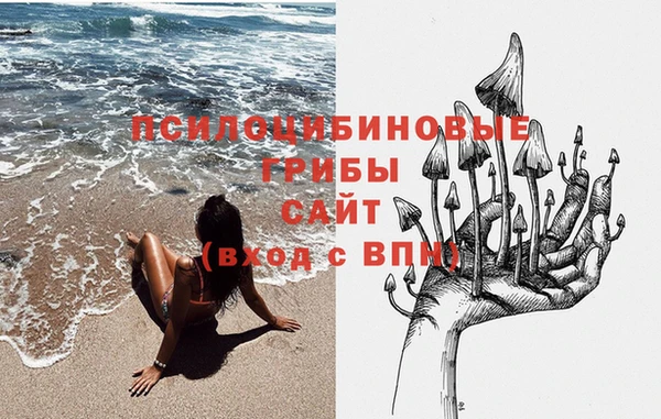 твердый Богданович